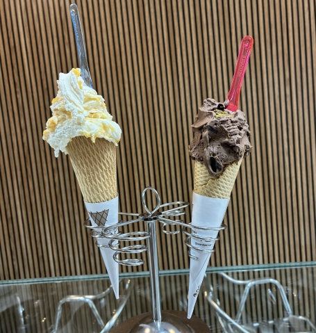 cucuruchos de helado delnano